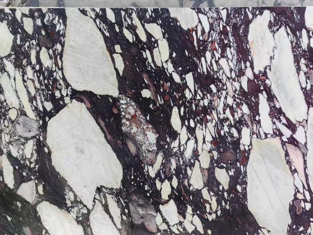 Calacatta Viola — Slab